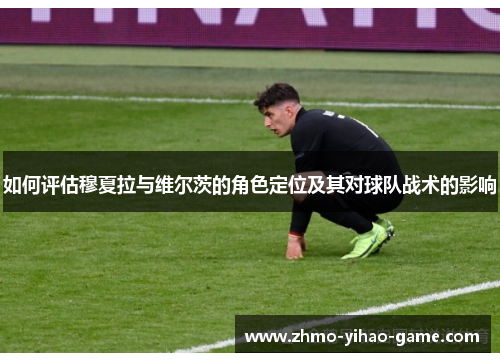 如何评估穆夏拉与维尔茨的角色定位及其对球队战术的影响