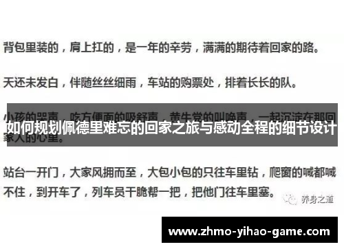如何规划佩德里难忘的回家之旅与感动全程的细节设计