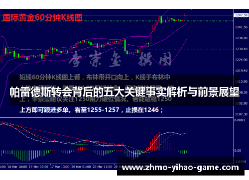 帕雷德斯转会背后的五大关键事实解析与前景展望
