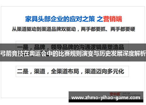 弓箭竞技在奥运会中的比赛规则演变与历史发展深度解析