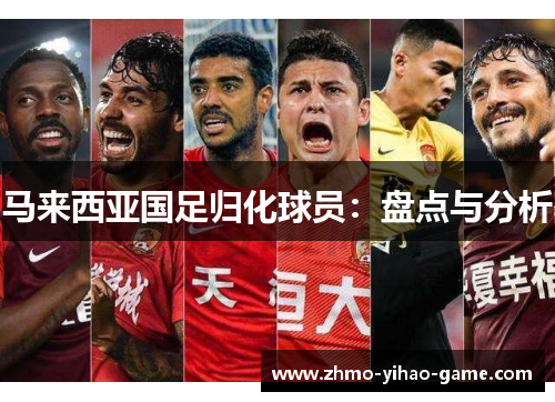 马来西亚国足归化球员：盘点与分析