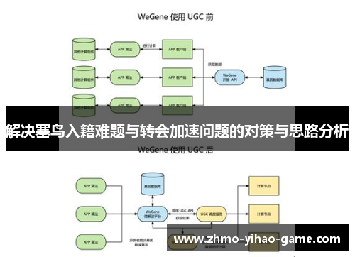 解决塞鸟入籍难题与转会加速问题的对策与思路分析