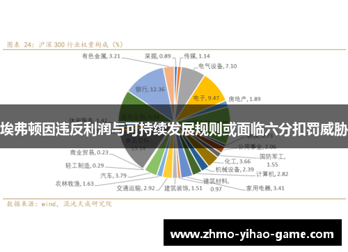 埃弗顿因违反利润与可持续发展规则或面临六分扣罚威胁